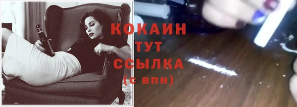 ГАЛЛЮЦИНОГЕННЫЕ ГРИБЫ Гусиноозёрск