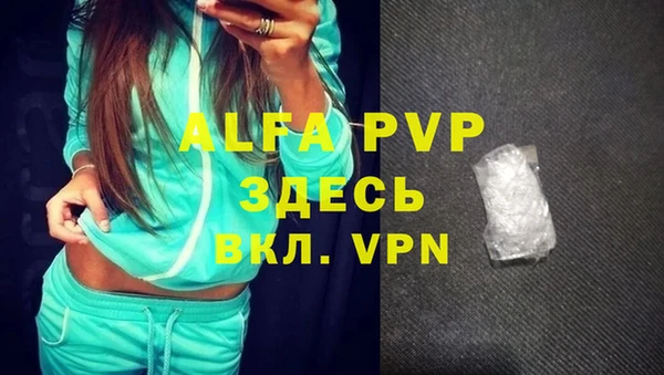 ГАЛЛЮЦИНОГЕННЫЕ ГРИБЫ Гусиноозёрск