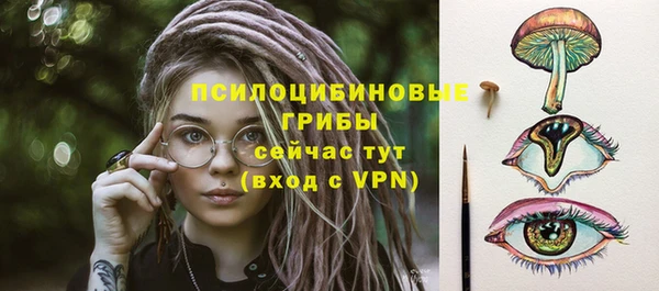 ГАЛЛЮЦИНОГЕННЫЕ ГРИБЫ Гусиноозёрск