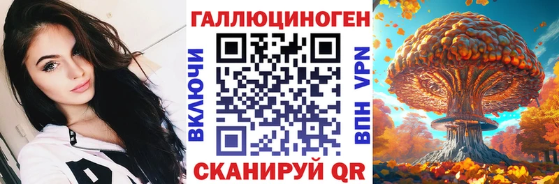 дарнет шоп Дубна Галлюциногенные грибы Psilocybine cubensis