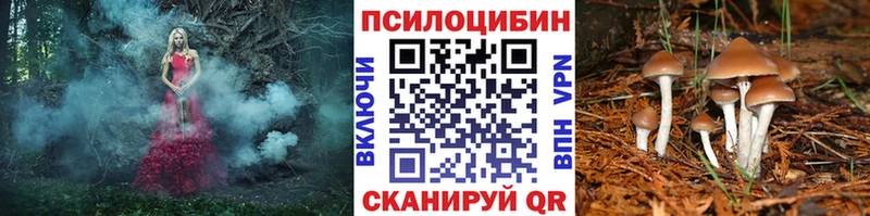 Галлюциногенные грибы Psilocybe Дубна